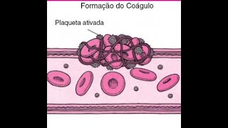 Interpretação do Coagulograma parte 1 [upl. by Anjela84]