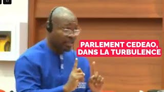 Parlement de la CEDEAO le député Guy Marius Sagna frappe encore et apostrophe la Suisse et les USA [upl. by Orimlede870]