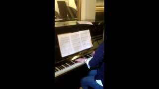 Ibach piano  chopin piano concert No1 Langzame deel Largo Romance [upl. by Nylime]