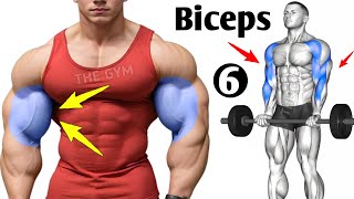 6 Best Exercises for a Big Biceps [upl. by Enirhtac546]