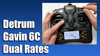 Detrum Gavin 6C Dual Rates [upl. by Hump]