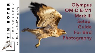 Olympus OMD EM1 Mark III Setup Guide For Bird Photography [upl. by Ennair290]