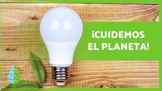 10 ACCIONES para CUIDAR el MEDIO AMBIENTE 🌏✅ [upl. by Sudbury762]