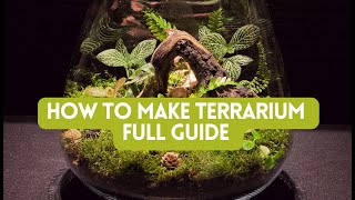 How To Make Terrarium very easy Full Guide For Beginners [upl. by Chaim963]