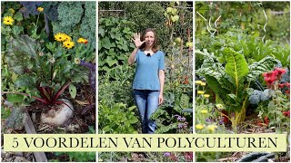 5 voordelen van POLYCULTUREN [upl. by Mariana820]