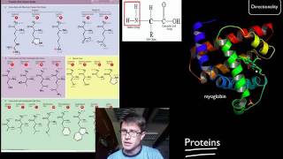 Biological Molecules [upl. by Tatiana]