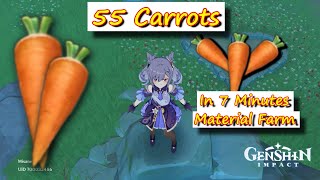 55 Carrots in 7 Minutes  Genshin Impact Material Farm [upl. by Finny]