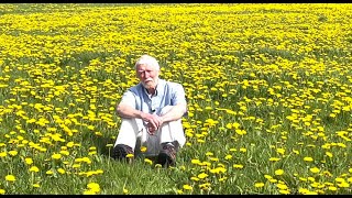 Dandelion Part 1  with John Feehan in spring Wildflowers of Offaly series [upl. by Burr]