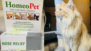 HOMEOPET NOSE RELIEF FOR CAT  CHEWYCOM [upl. by Fanni]