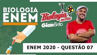 BIOTECNOLOGIA NA PROVA ENEM 2020  QUESTÃO 07 [upl. by Ennovyahs]