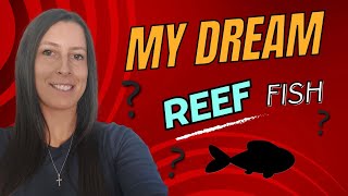 Adding and Acclimating my Dream Reef Fish to my Aquarium FerrariReef [upl. by Aiyotal]