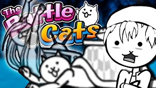 EVOLVING KOTATSU CAT AND SHAMAN CAT  The Battle Cats Part 19  Chapter 3 Moon Update 5100 [upl. by Shiroma399]