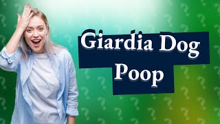 What does dog poop look like with Giardia [upl. by Azarcon257]