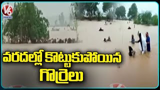 Incessant Rains Reservoirs in Telangana Receive Huge Inflows  V6 News [upl. by Anelad]