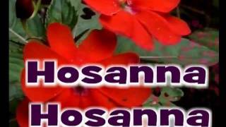 Hosanna Hosanna [upl. by Kohl]