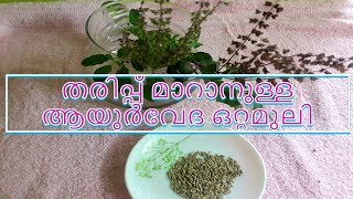 തരിപ്പ് മാറാനുള്ള ആയുർവേദ ഒറ്റമൂലി How to Stop Numbness  Malayalam [upl. by Egief]