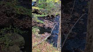 Stream near rental house in lanesborough Massachusetts [upl. by Yelnek]