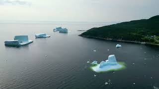 Icebergs Seal Cove Whitebay Newfoundland [upl. by Miza]