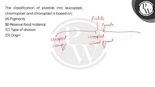 The classification of plastids into leucoplast chromoplast and chloroplast is based on [upl. by Natka]