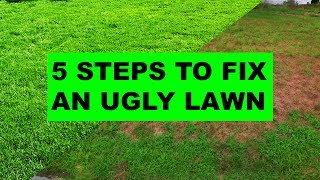 How to Fix an Ugly Lawn in 5 Easy Steps [upl. by Atteloj336]