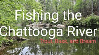 Chattooga River Fishing Trout Bass and Bream [upl. by Aiblis]