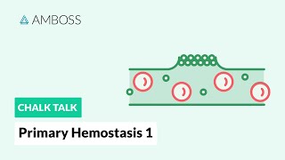 Primary Hemostasis  Part 1 Platelet Adhesion [upl. by Madeline118]