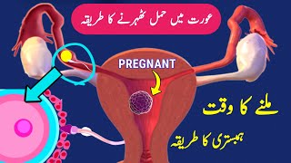 Sperm Egg Fertilization Process Pregnancy kaise Hoti Hai Pregnancy Ovulation Implantation [upl. by Narol980]