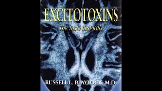 MSG amp Excitotoxins The Silent Killers  Dr Russell Blaylock [upl. by Hamimej]