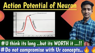 Action Potential Of Neuron Nerve Muscle Physiology Lectures First Year MBBS Ashish [upl. by Ineslta489]