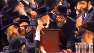 Internet Asifa quotKinis Klal Yisroelquot at CitiField  Full Video 4 Hours [upl. by Aneeroc]