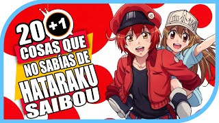 201 Cosas Que No Sabías De Hataraku Saibou [upl. by Aciraj168]