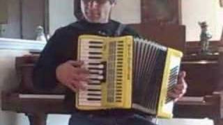 Cumbia Accordion [upl. by Ecadnak557]