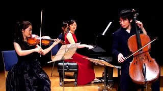 Beethoven Piano Trio No 4 in Bflat major Op11 quotGassenhauer Trioquot 1st mov [upl. by Tyika700]