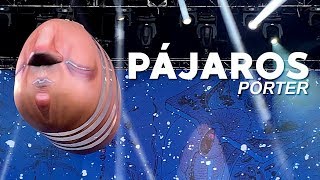 Porter  Pájaros en vivo  IndioCatrina2018 [upl. by Enaled249]