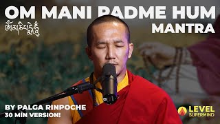 Mantra of Compassion quotOm Mani Padme Humquot by PalgaRinpoche l 30 Minutes Version [upl. by Darleen537]