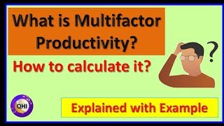 Multifactor Productivity  Explained with example [upl. by Delanty130]