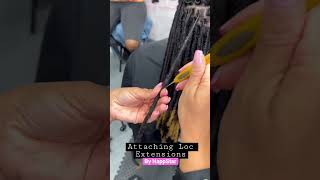 Attaching Loc Extensions to existing Locs ✨ locs locextensions [upl. by Mor]