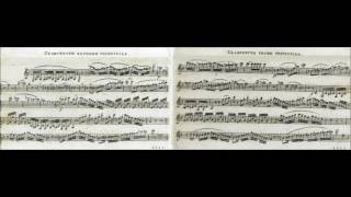 František Krommer  Concerto for 2 Clarinets Op 35 [upl. by Waldron]