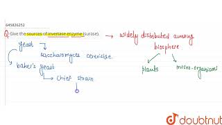 Give the sources of invertase enzyme surase  CLASS 12  MICROBES IN HUMAN WELFARE  BIOLOGY [upl. by Arodoet]