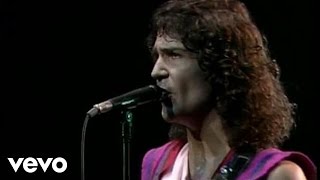 Billy Squier  Everybody Wants You Live [upl. by Nike737]