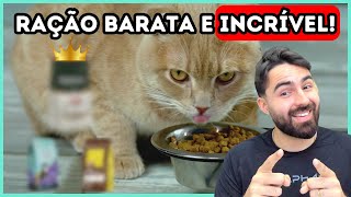 As Rações MAIS BARATAS E INCRÍVEIS Para Gatos [upl. by Nnyla]