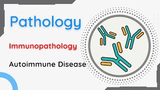 Pathology  Immunopathology  Autoimmune Diseased [upl. by Obadiah]