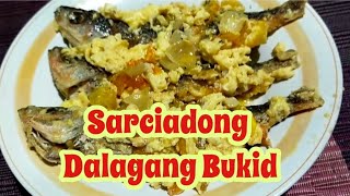 Sarciadong Dalagang Bukid [upl. by Arvy116]