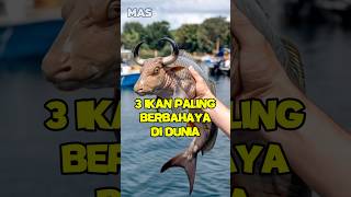 3 ikan paling berbhaya di dunia Nomor 3 bahaya banget shorts [upl. by Ecienaj]