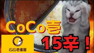 15辛！？CoCo壱の激辛カレーを食べた話【猫ミーム】 [upl. by Neelik]