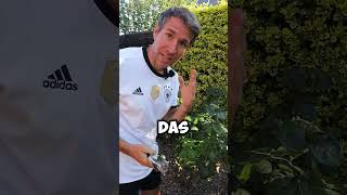 Rosen schneiden während der EM Pause gartentipps garten gartenarbeit euro2024withshorts [upl. by Eniamret]