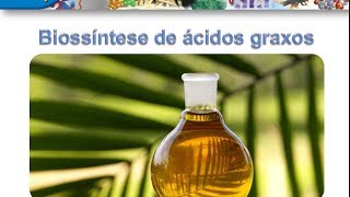 Curso de Bioquímica Biossintese de ácidos graxos [upl. by Gorden]