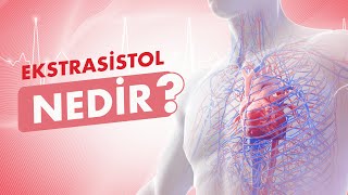 Ekstrasistol Ekstra Vuru Ritim Bozukluğu Nedir│Prof Dr Dursun Aras [upl. by Julio]