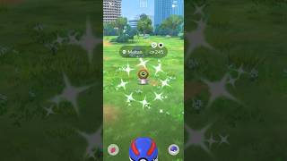 SHINY Meltan Extravaganza Pokémon GO [upl. by Langill]