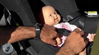 RCC News Child Restraints What You Need To Know [upl. by Auhso]